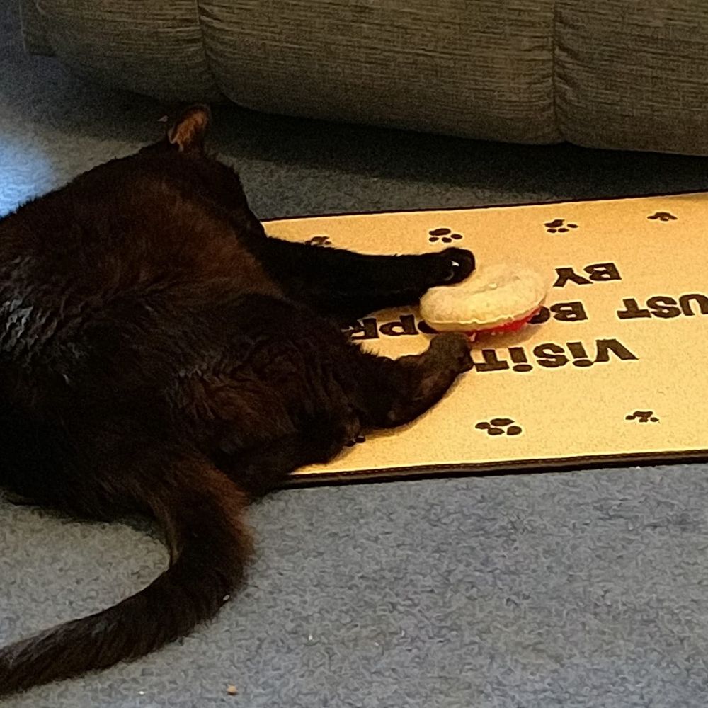 Meet your Posher, Catherine